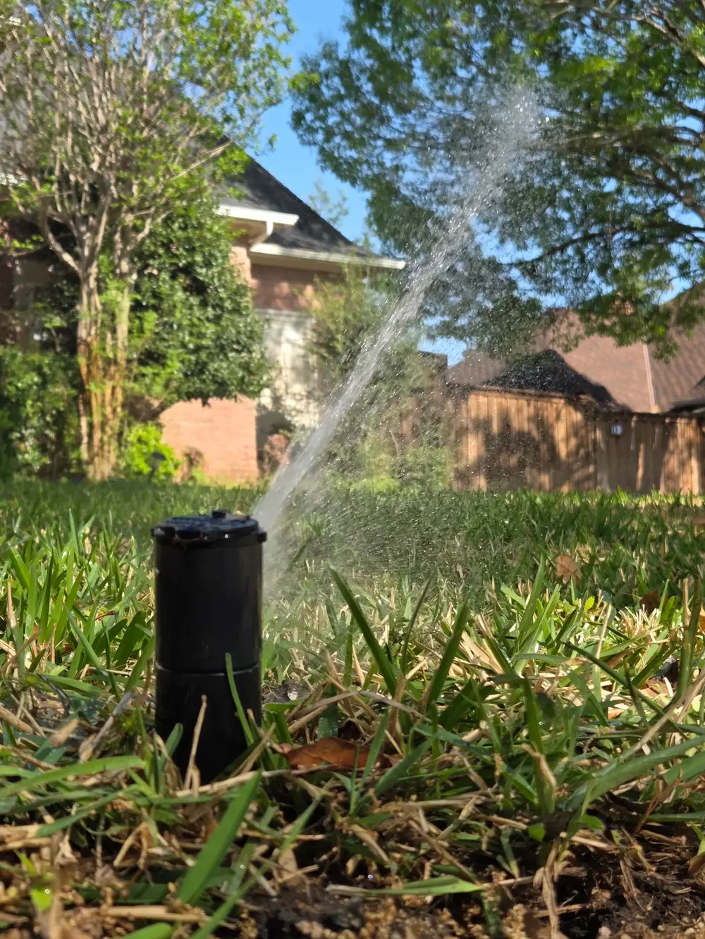 Sprinkler head running in green neighborhood lawn